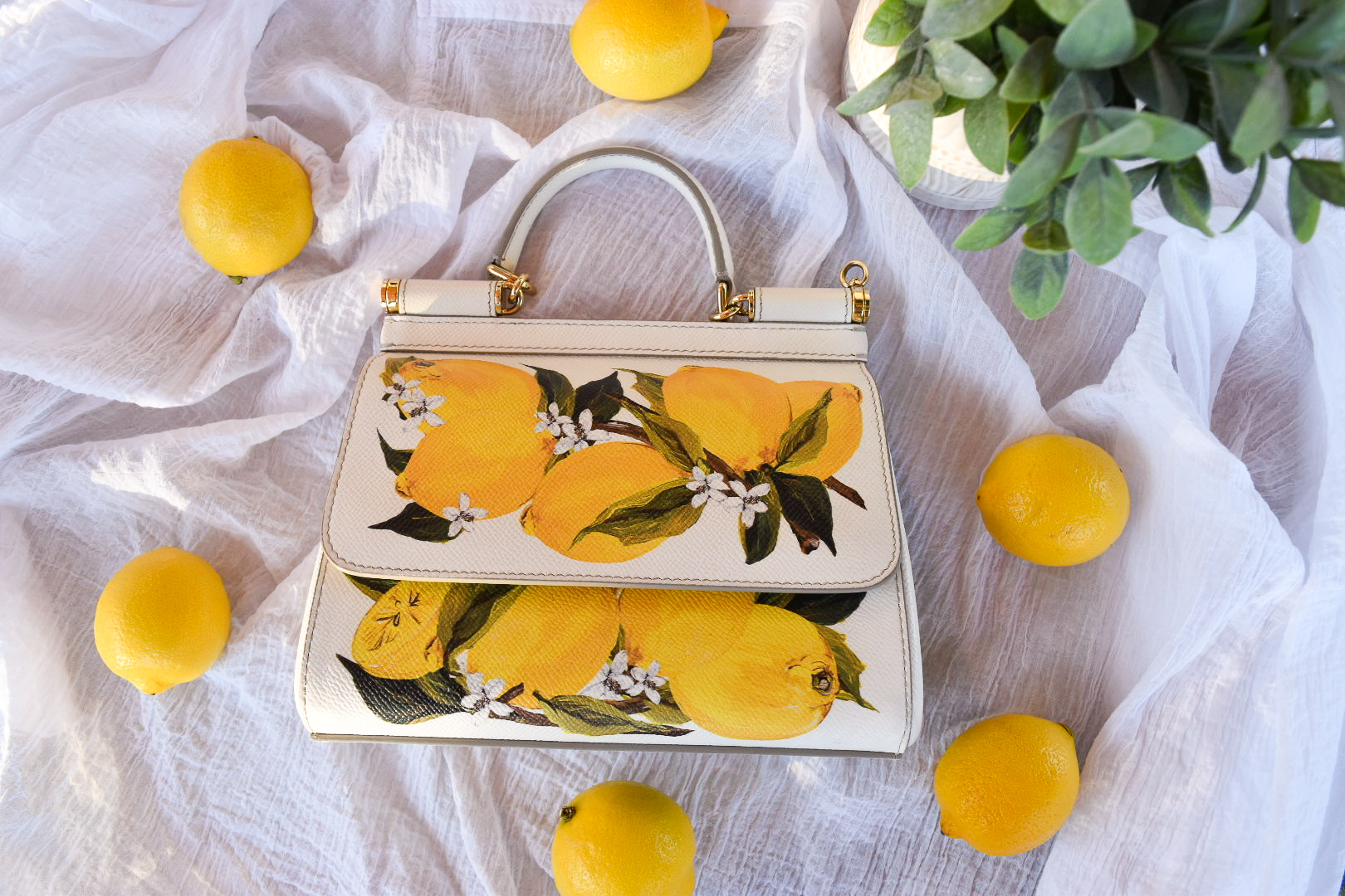 Fameleon  Dolce & Gabbana Lemon Sicily Bag